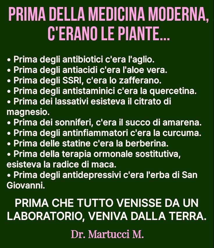 PRIMA DELLA MEDICINA MODERNA, C’ERANO LE PIANTE…