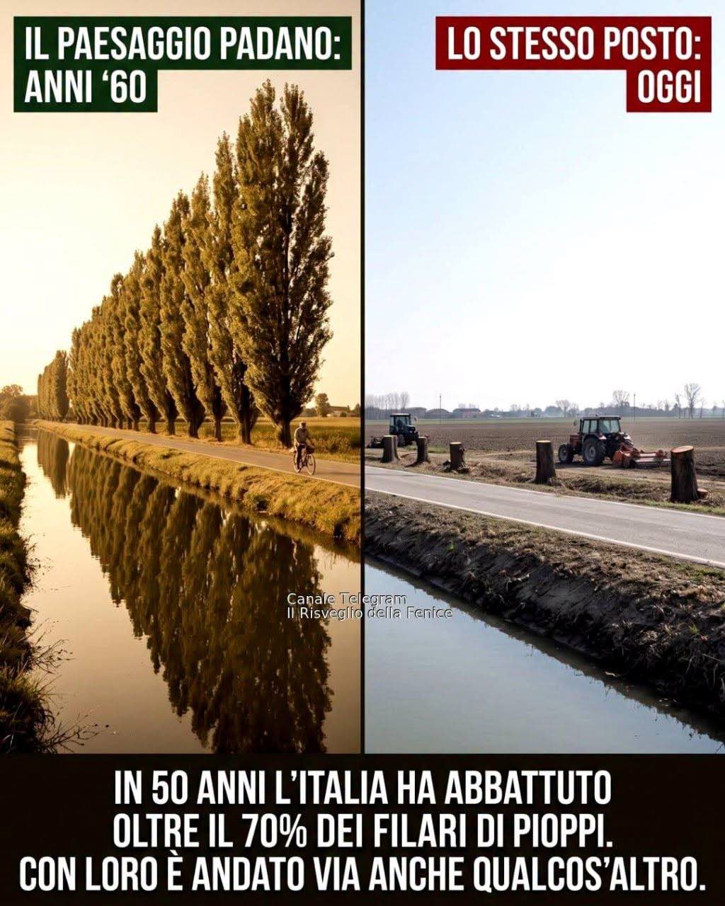 PAESAGGIO PADANO IERI E OGGI